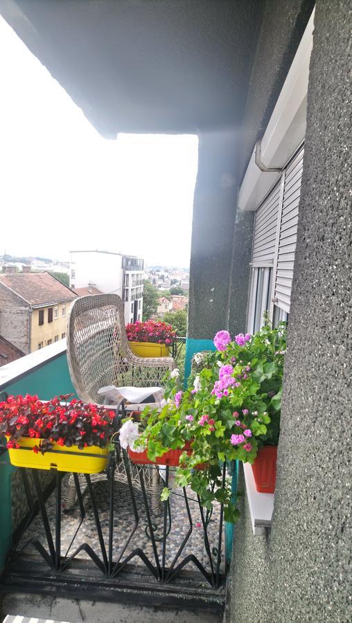 Garden Apartment Belgrad Exterior foto